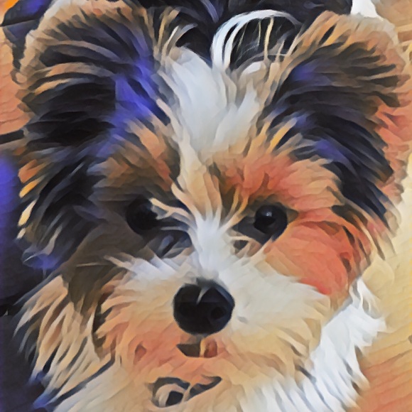 Meet your Posher, Mandi - Picture 3 of 8